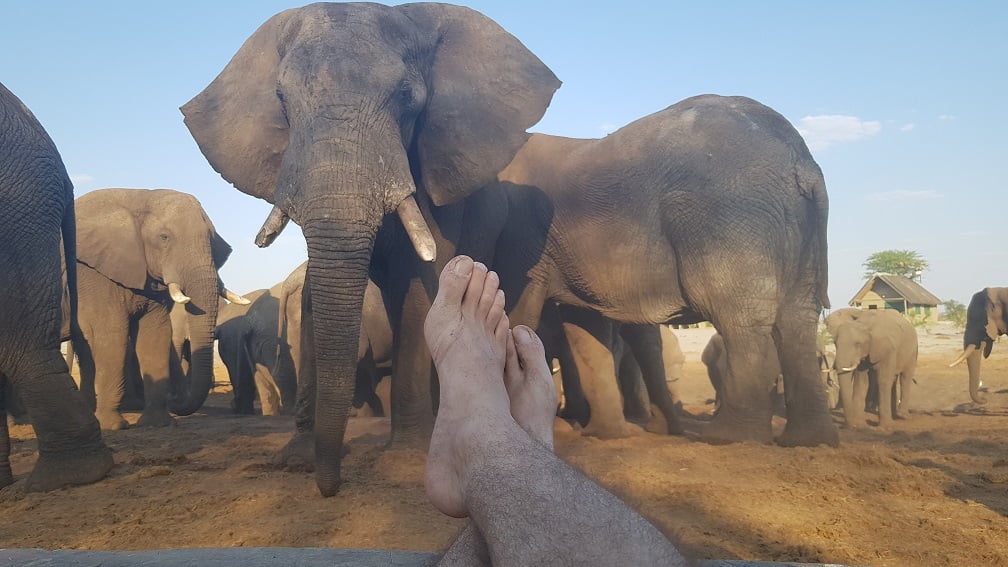 Trocando ideia com os elefantes no Elephant Sands, Botswana