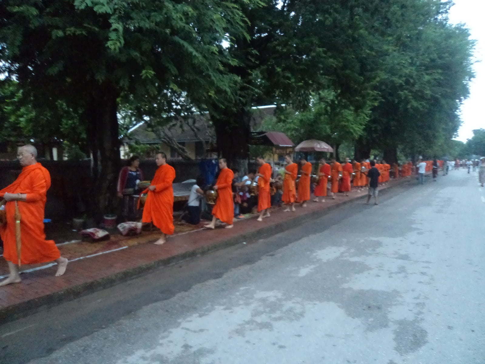 Giving Souls cerimony - Luang Prabang, Laos