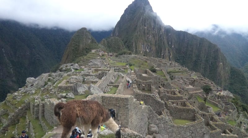 Lhama, Machu Picchu e Huyana Picchu simbolos peruanos em Aguas Calientes