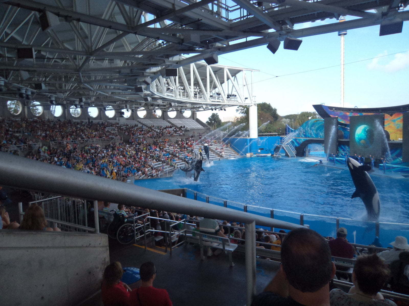 Show das Baleias no Sea World - Orlando, EUA