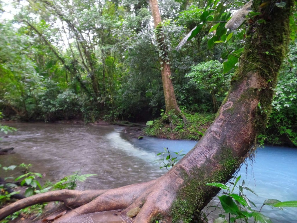 Rio Celeste, Vulcão Tenório-Costa Rica