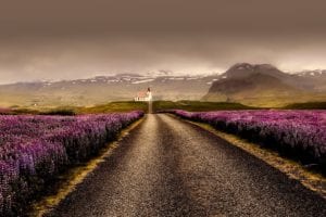 Estrada de pedra na Islândia, verão - foto Pexels