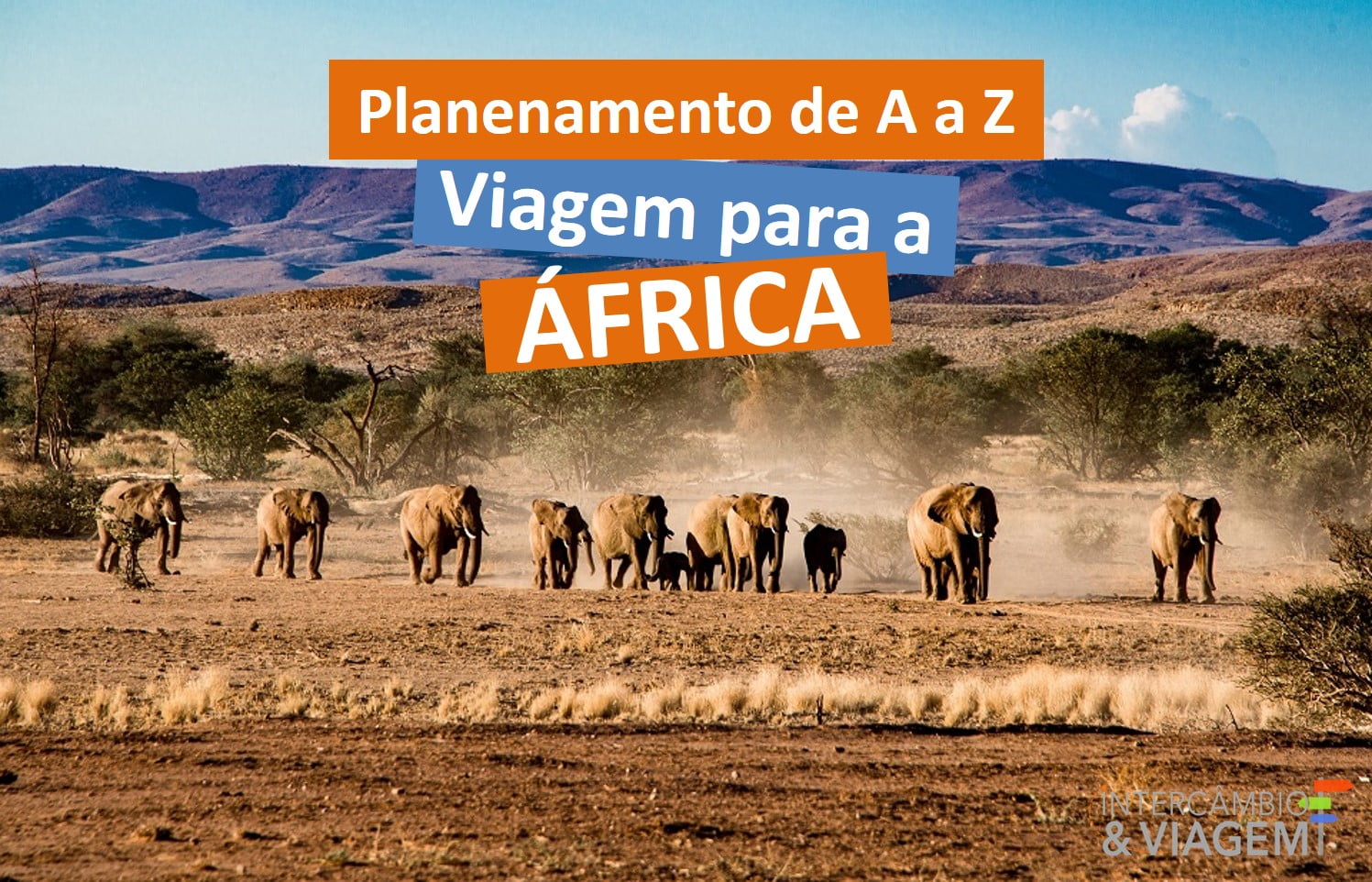 Planejar sua viagem para África : Parques, custos, roteiro, vacinas e mais!